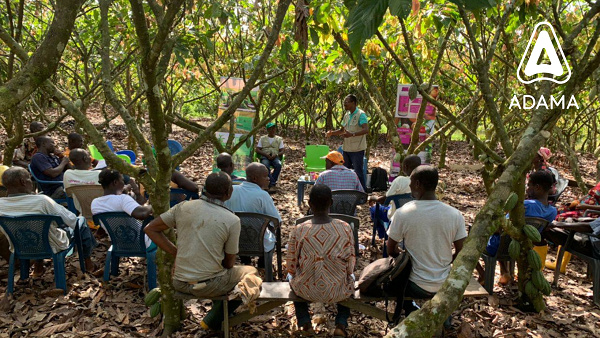 Cocoa farmers