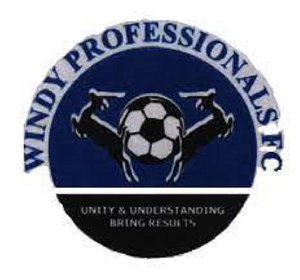 Download (4) Windy Professionals FC.jfif