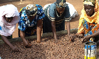 Some shea nut collectors in Ghana