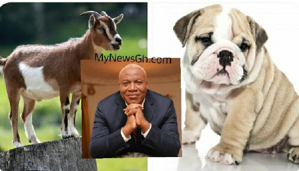 Both President Akufo Addo and predecessor Mahama have used animals in idiomatic expressions