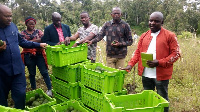 Rungwe District Commissioner Dr Vincent Anney during his visit to Rungwe, Tanzania