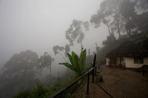 Harmattan and dry season is characterized by fire outbreaks