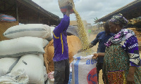 Maize traders