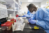 File photo of laboratory worker working on COVID-19 samples