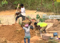 The strike aims to pressure the government to ban all forms of mining in forest reserves