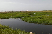 Ramsar Sites, Wetlands and Mangroves