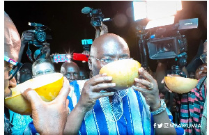 Bawumia Water Calabash