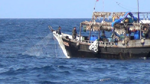 Chinese Fishing Vessels