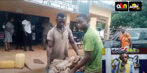 Kumasi Trede Pig Thieves 