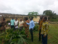 The seedlings were received by the department of Agric