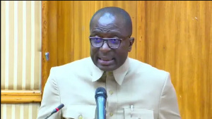 Andrew Asiamah Amoako, Second Deputy Speaker of Parliament