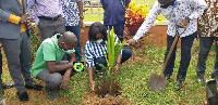 The MCE, Janet Tulasi Mensah being assisted to plant one of the trees