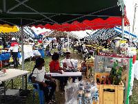 Posters and paraphernalia of the NPP have taken over Koforidua at the party's Delegates Conference