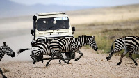 The Kilombero game controlled area is a crucial habitat for wildlife