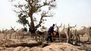 The issue of cattle rearing has been a difficult one in the country