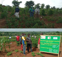 They farmers also received training and capacity building in vegetable production