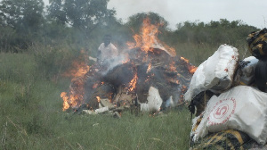 NACOB has destroyed 500kg of Marijuana which was impounded in December 2017