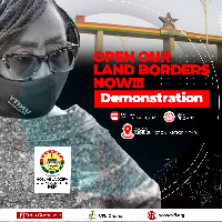 Abla Dzifa Gomashie is MP for Ketu South and she will be leading the demonstration