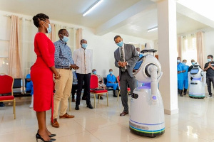 Rwanda Robots 12908345