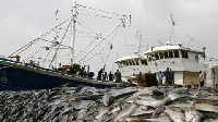 The cost of illegal, unreported and unregulated (IUU) fishing still remains huge