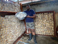 John Dumelo holding a pan filled with mushrooms