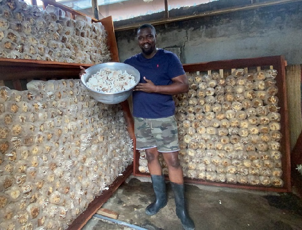 John Dumelo holding a pan filled with mushrooms