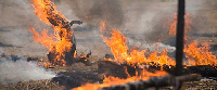 Bush fires can destroy large acres of cashew farms within few minutes