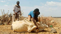 Herders assist a cow weakened by famine to stand in drought-hit Marsabit County in Kenya