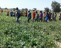 Farmers on the demonstrations field