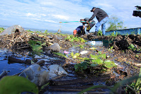 Researchers collecting samples of water from Kisumu Resort on the shores of Lake Victoria