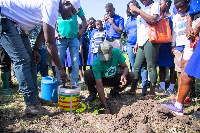 Officials of the SDGs Advisory Unit and the Forestry Commission planting one of the 1000 seedlings