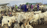 Reports show the price of cattle, rams, has also risen across various parts of the country