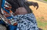 At the police station, the baby was seen healthy and wrapped in cloth