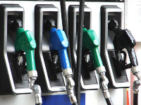 Fuel prices were projected to be fairly stable by the institute