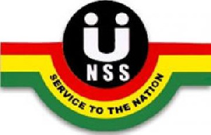 NSS logo