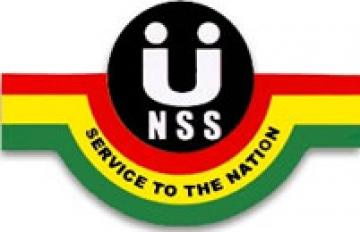 NSS logo