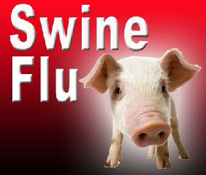 Swine Flu 