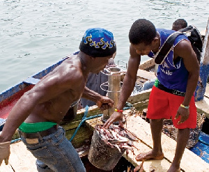 Full time fishermen face the danger of losing their livelihood