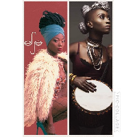 Ghanaian female musicians have been seen rocking different hairstyles- a blend of braids and cowries