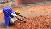 Majeed Neena is a member of one of the women’s shea groups