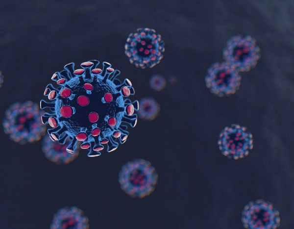 Novel Coronavirus