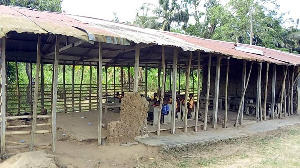 Pupils Miawani M/A Primary School say they encounter reptiles anytime they come to school