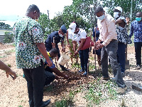 NCCE Directors help in planting the trees