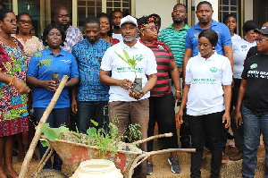 NiiNoi Alexander Adumuah displaying one of the seedlings