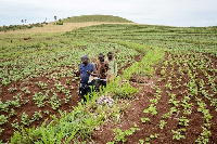 The report findings shows how farming can generate employment opportunities and reduce poverty