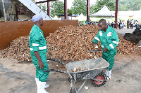 Workers of Ayensu Starch Factory