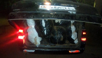 The sacks of Indian Hemp stacked in the boot of the car