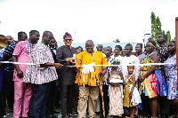 NPA CEO Mustapha Hamid (fourth left) join dignitaries at the opening