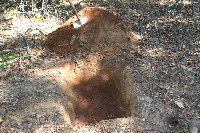 File photo of a shallow grave