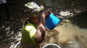 Woman drinking from dirty pond